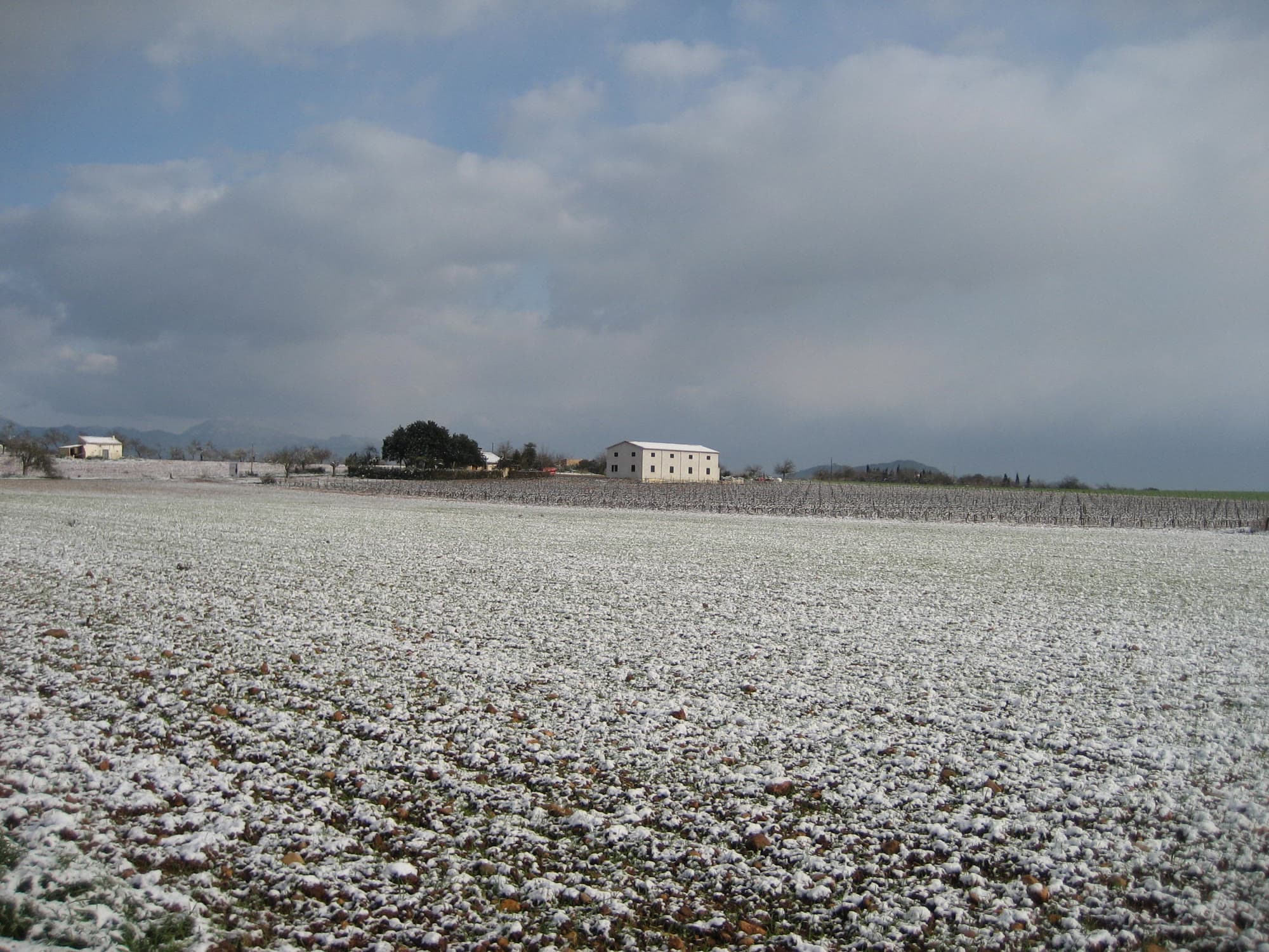 Das Landgut und die Reben unter seltenem Schneefall