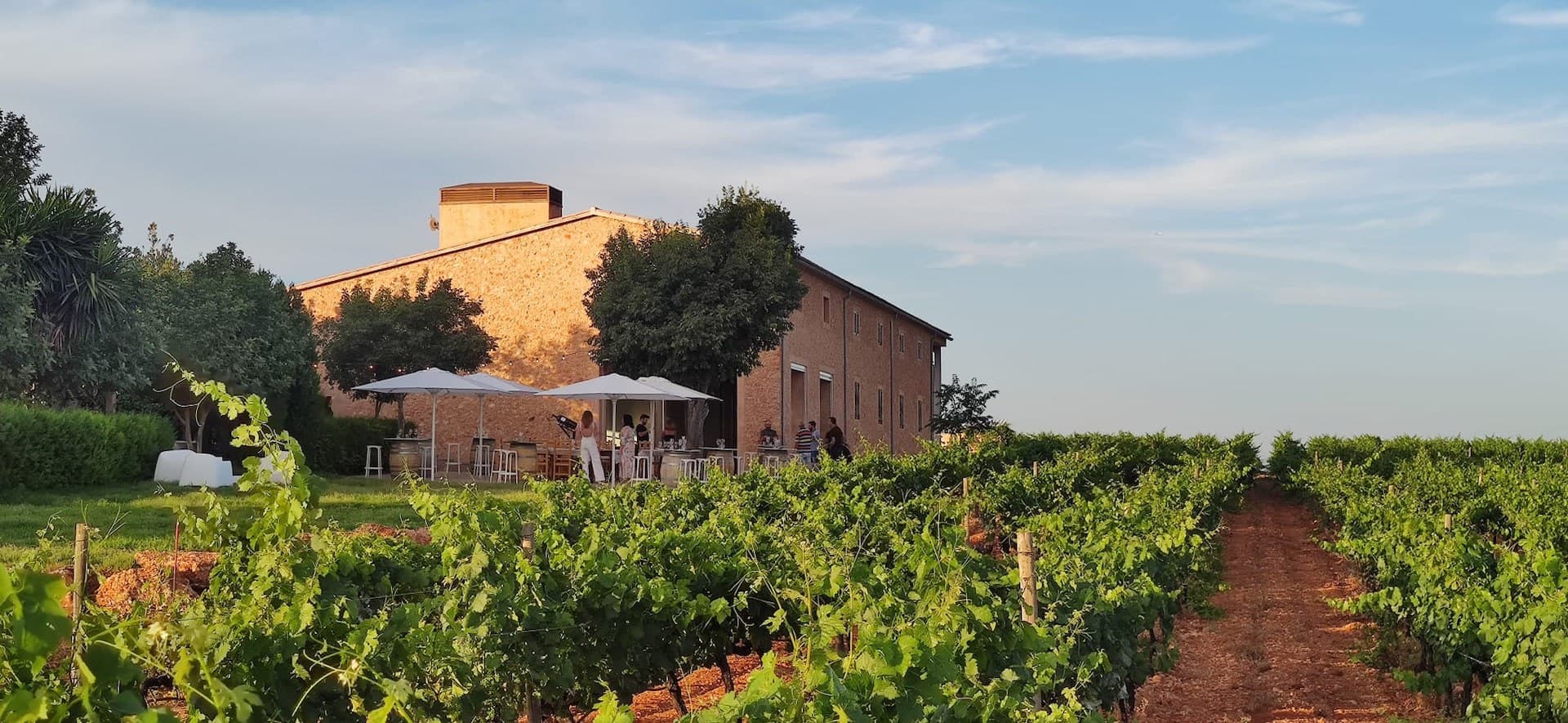 Das Weingut Son Prim bei Sonnenuntergang, umgeben von Reben