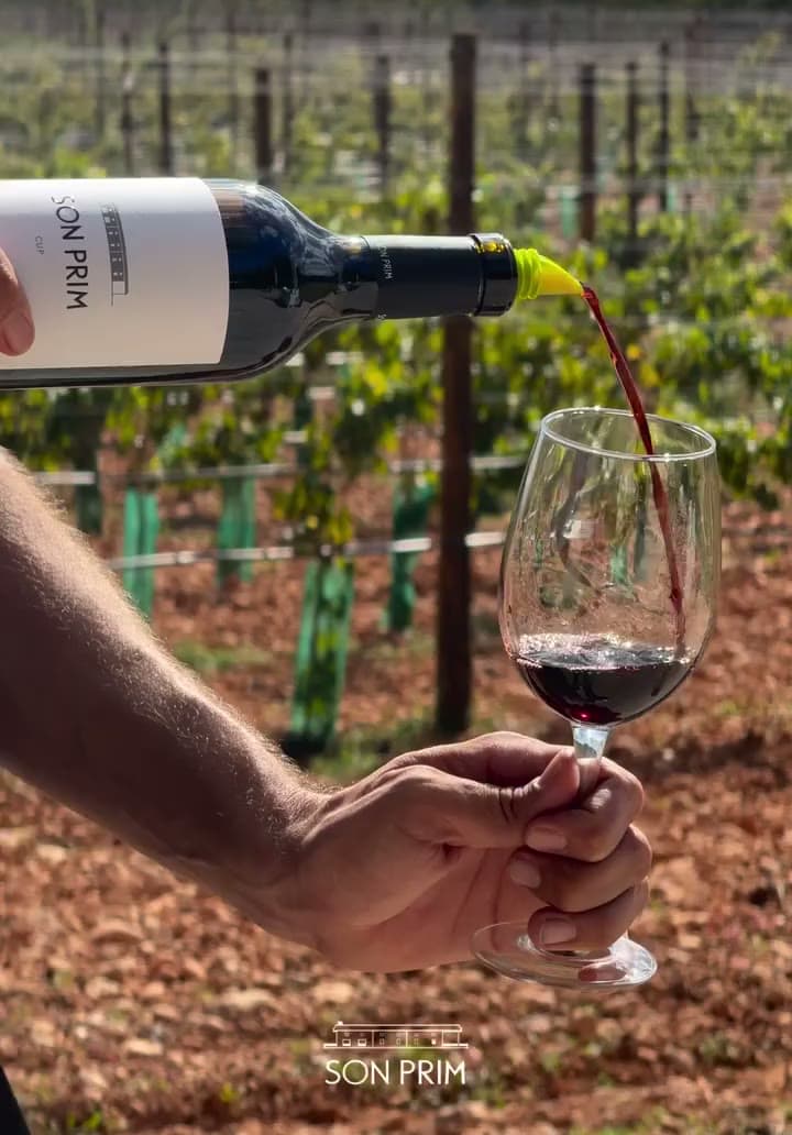 Wein wird zwischen den Reben von Son Prim ins Glas gegossen