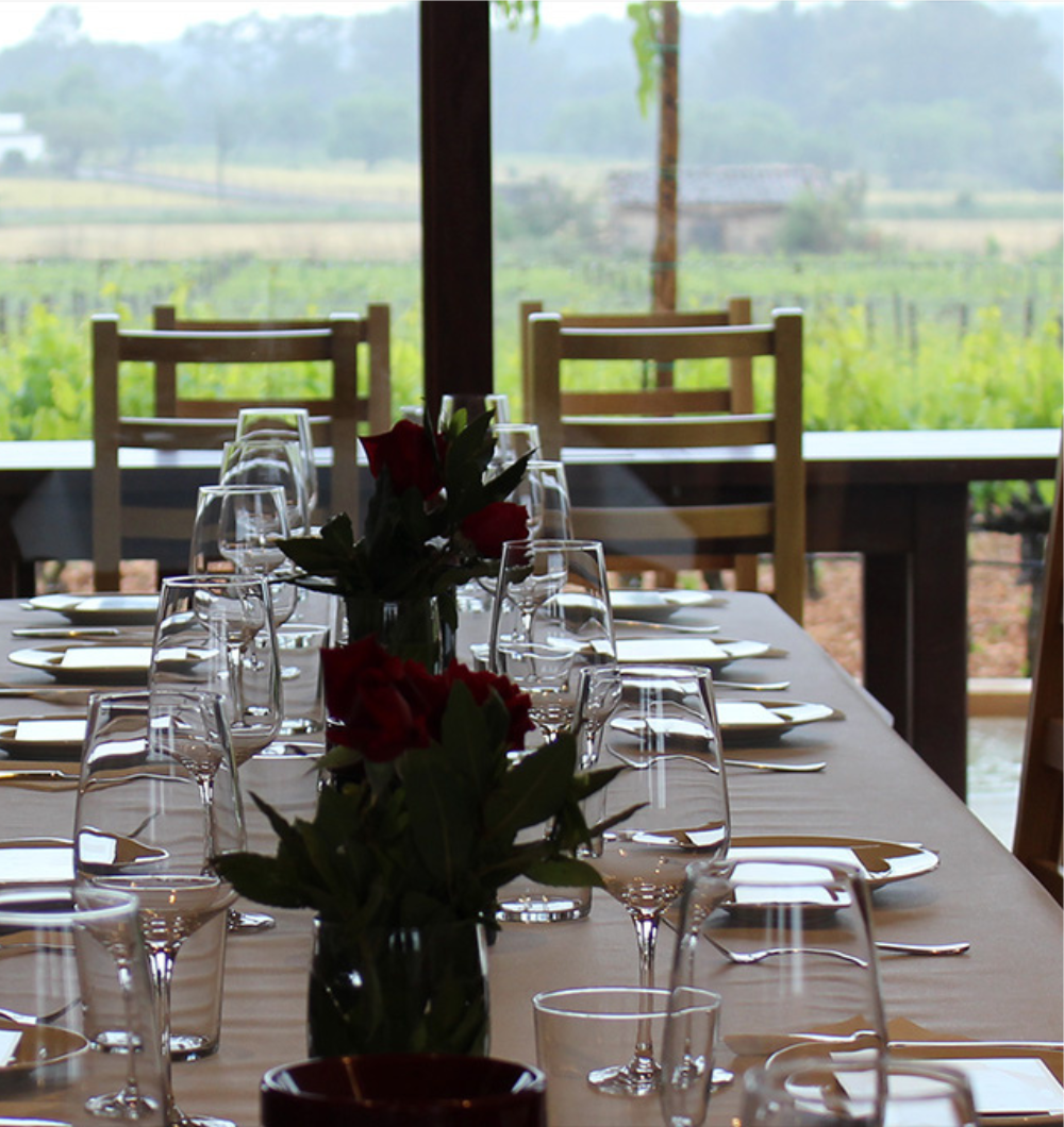 Gastronomic experience at the winery